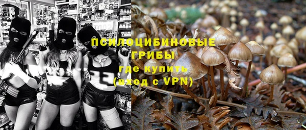 ПСИЛОЦИБИНОВЫЕ ГРИБЫ Горнозаводск
