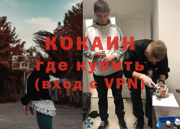 ПСИЛОЦИБИНОВЫЕ ГРИБЫ Горнозаводск