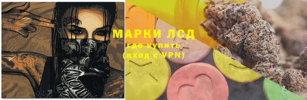 ПСИЛОЦИБИНОВЫЕ ГРИБЫ Горнозаводск