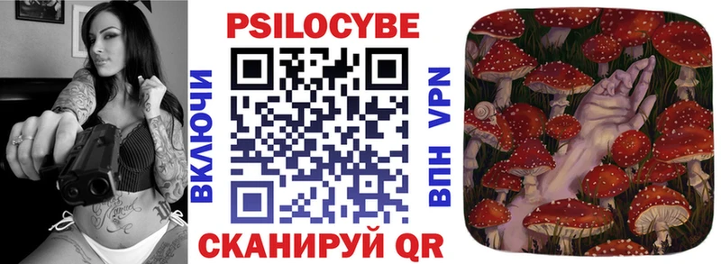 Купить где Медвежьегорск Галлюциногенные грибы Cubensis